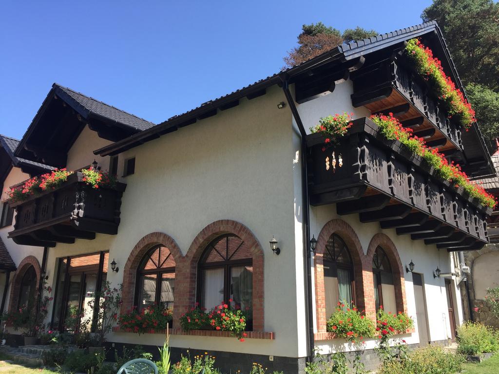 Casa Stefania Hotel Talmacel Exterior photo